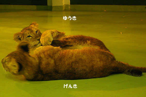 手