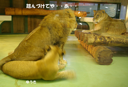 踏んづけ