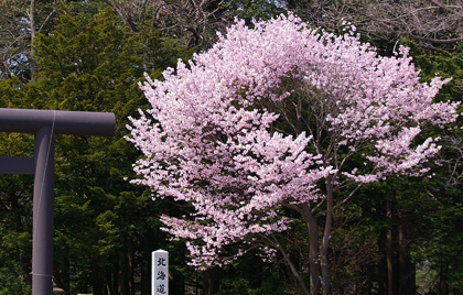 鳥居