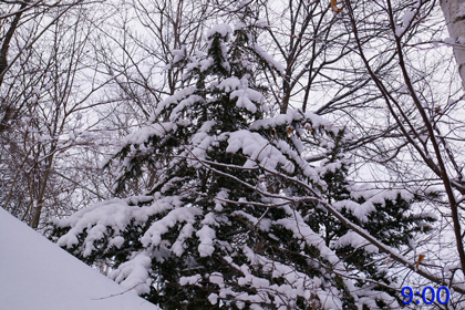 雪景色