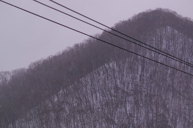山