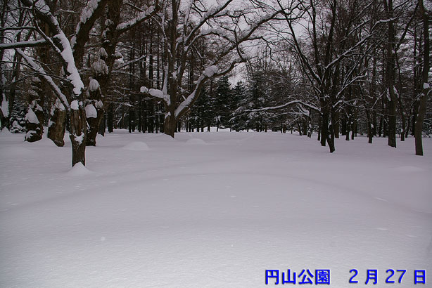 公園