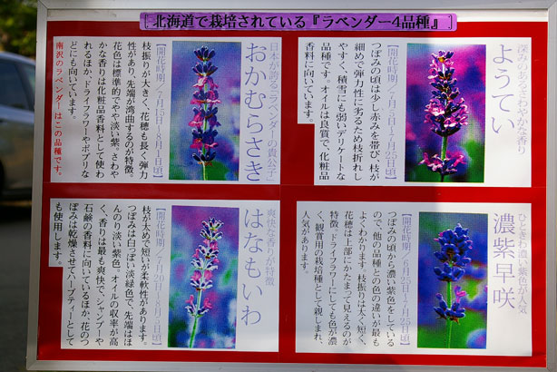 4種
