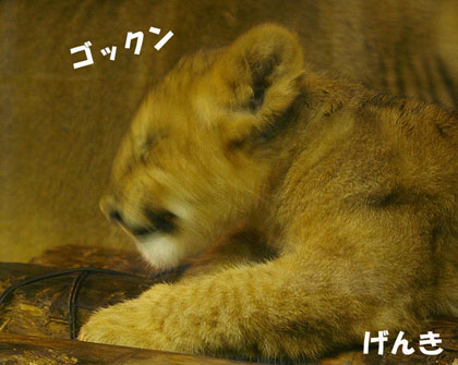 ごっくん