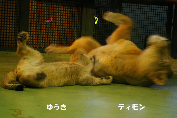 踊る