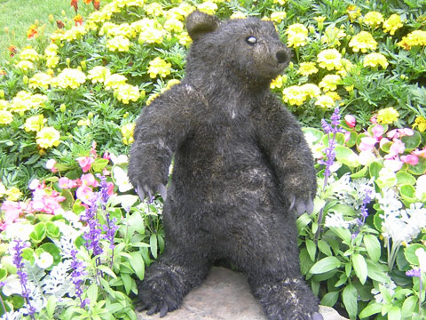 クマ