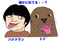 トドgif