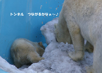 つながるかな