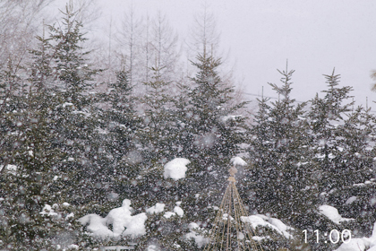 雪