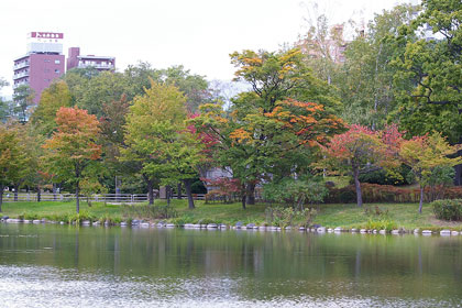 中島公園池