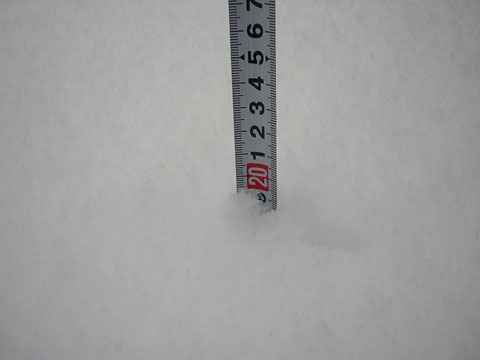 20cm