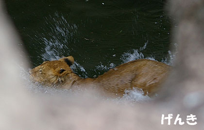 水の中1