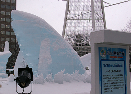 シャチ