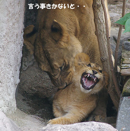 言う事聞かないと