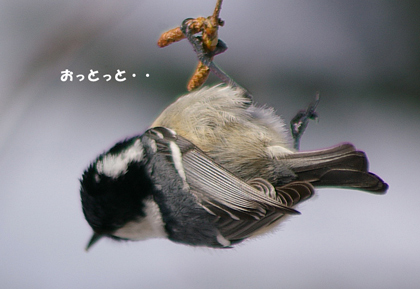 おっとっと