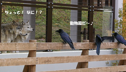 3動物園