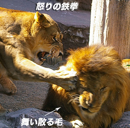 怒りの鉄拳