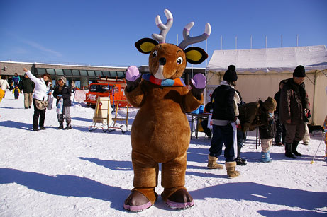 ノルッキー