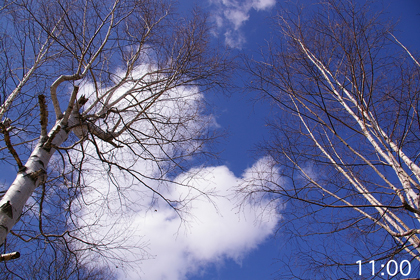 空