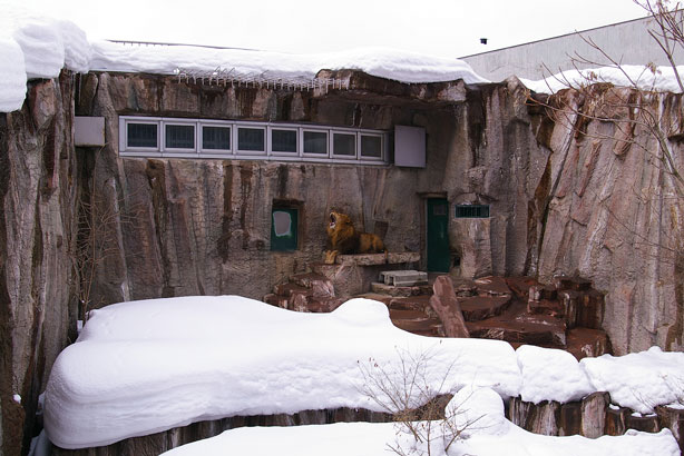 積雪