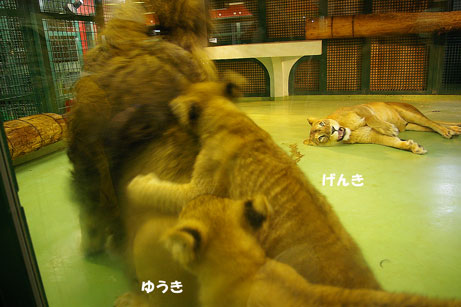 背中