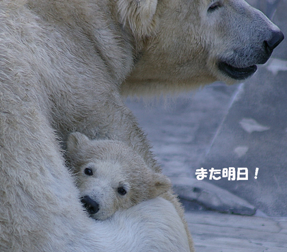 また明日