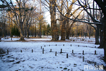 円山公園