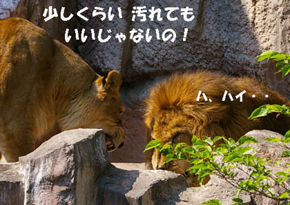 少しくらい