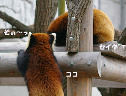 そぉ～