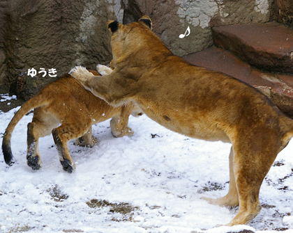 ゆうきと母