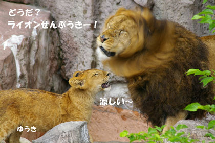 ライオンせんぷうき