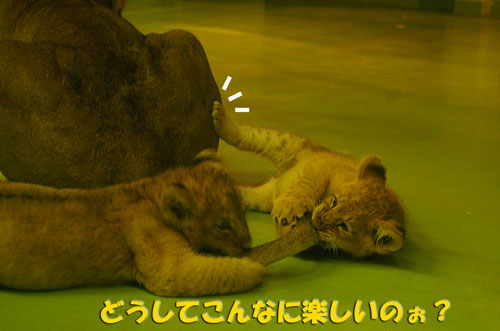 どうして