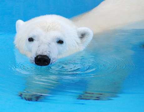 水中