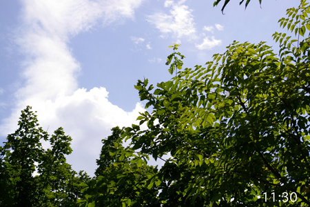 青空