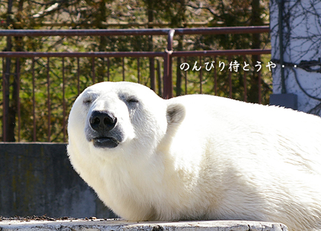 のんびり