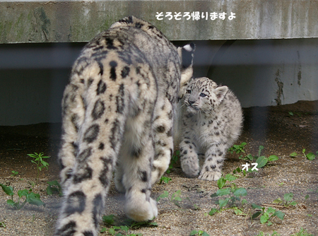 帰ります