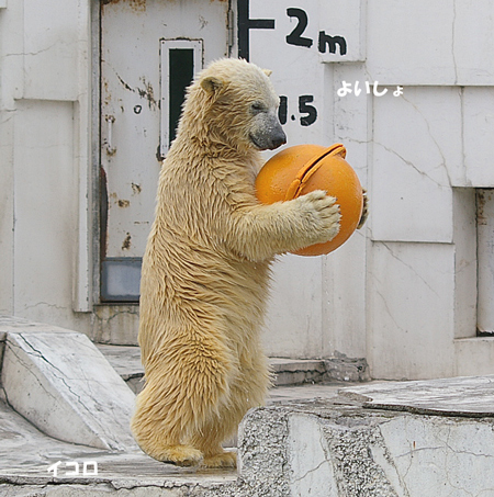 持ち上げ