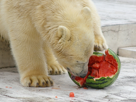 食べる