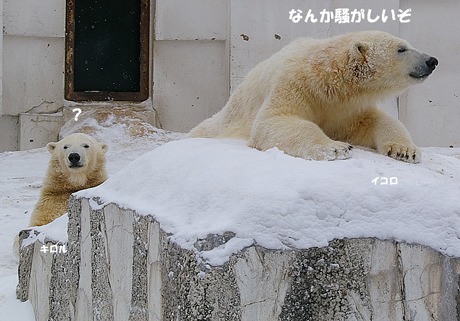 騒がしい