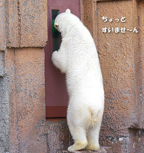 すいません