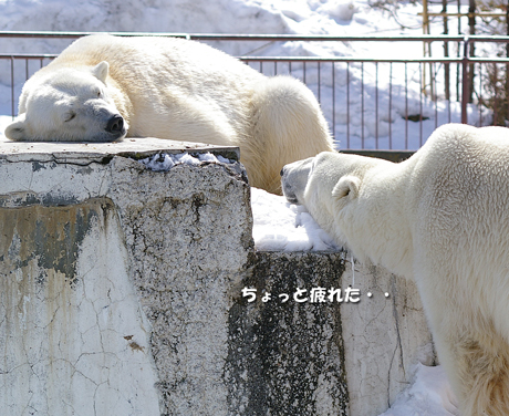 ちょっと