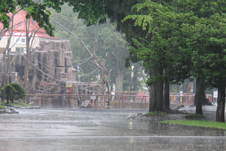 雨