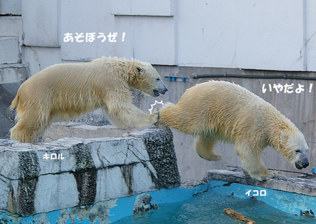遊ぼうぜ