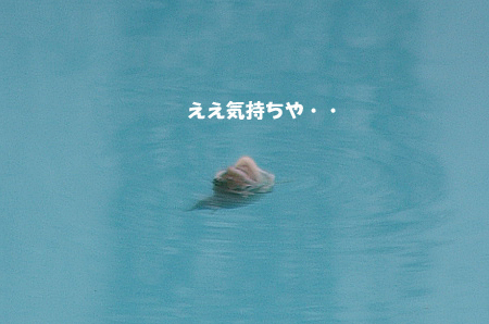 魚