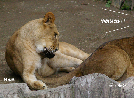 やめなさい