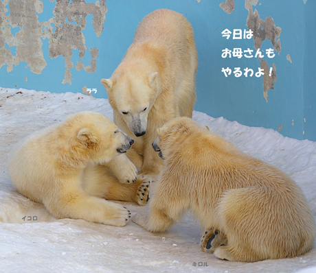 円山動物園