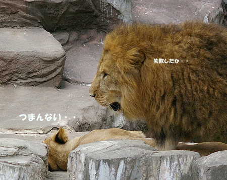 失敗した