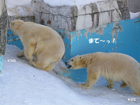 まて