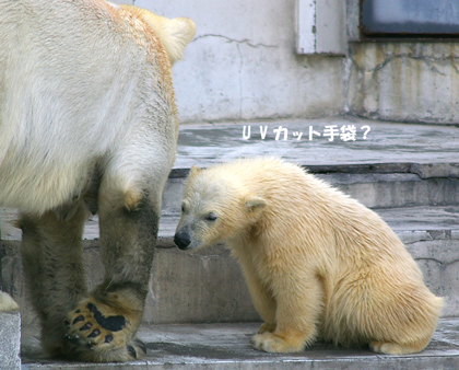 手袋