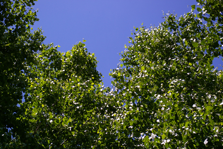 青空